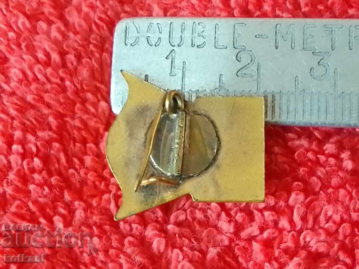 Стара соц значка емайл VIII КОНГРЕС БКП Георги Димитров с цена 12.50 лв. | € 6.39