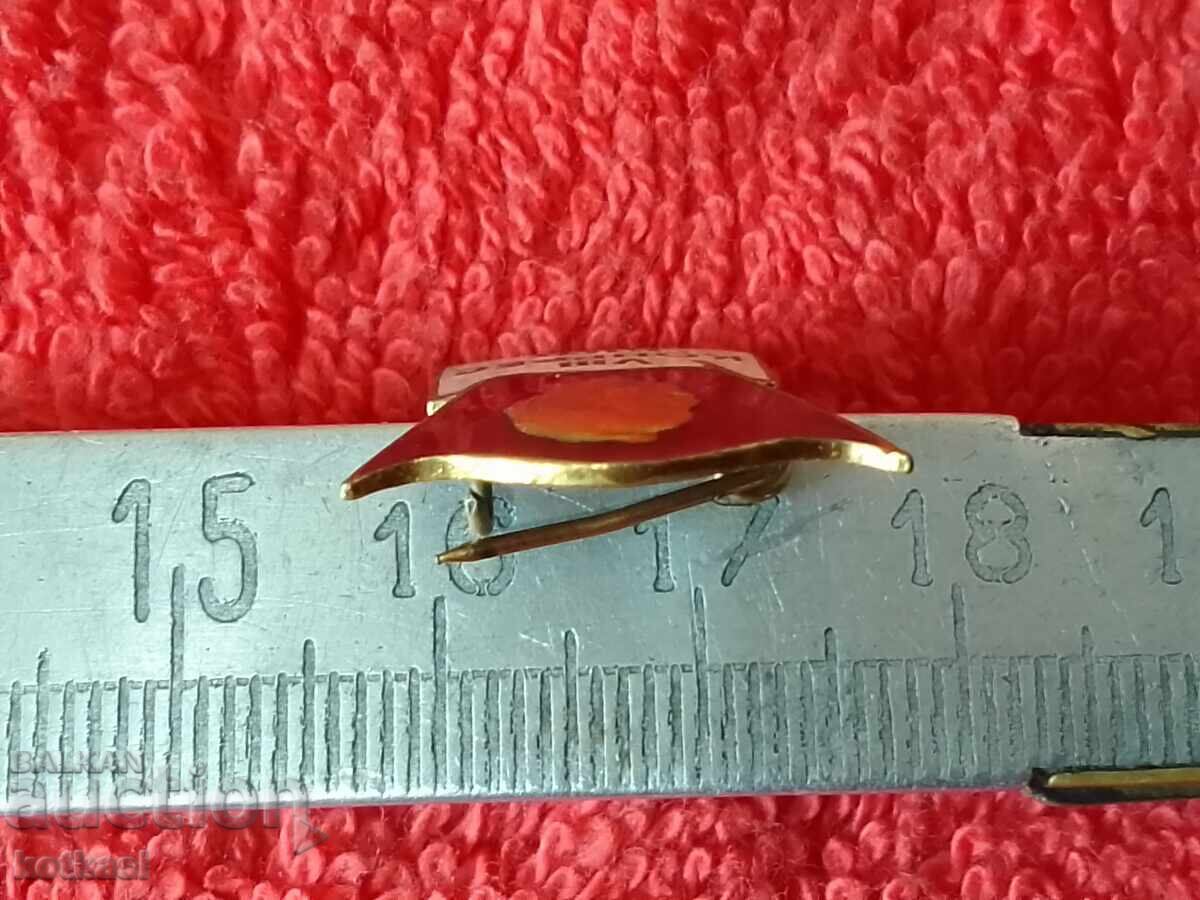 Delivery of Old social badge enamel VIII CONGRESS BKP Georgi Dimitrov Delivery of Old social badge enamel VIII CONGRESS BKP Georgi Dimitrov