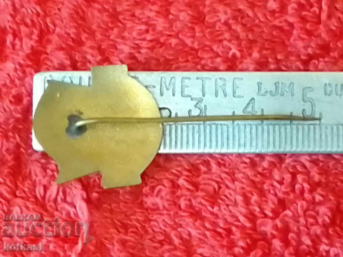 Old social badge pin enamel Georgi Dimitrov 1882-1949 with price 195.50 BGN | € 99.96 Old social badge pin enamel Georgi Dimitrov 1882-1949 with price 195.50 BGN | € 99.96