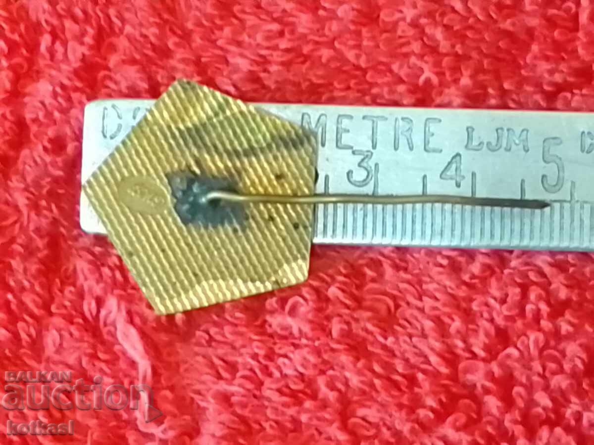 Old massive badge G DIMITROV XXV year PEOPLE'S POWER with price 21.00 BGN | € 10.74