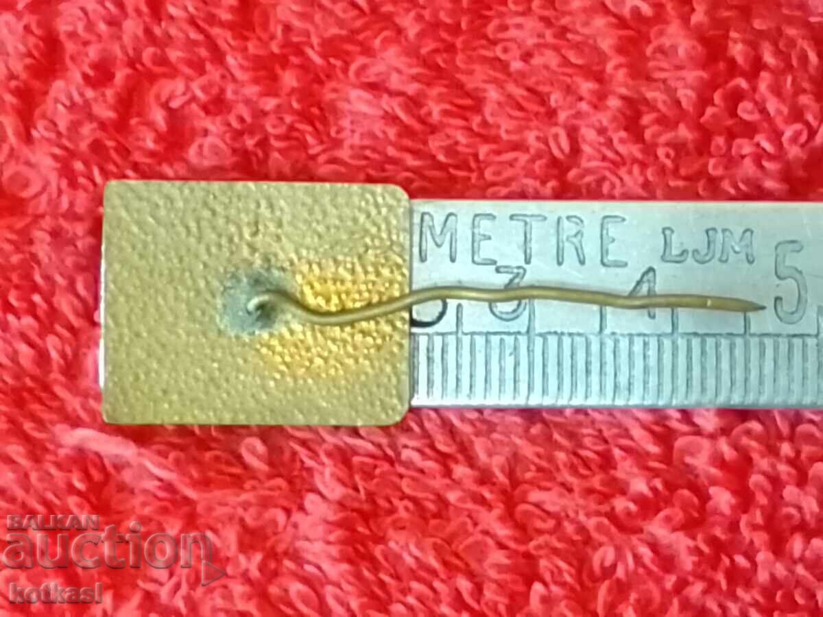 Old social badge pin bronze enamel SERNENA GORA STARA ZAGORA with price 35.50 BGN | € 18.15 Old social badge pin bronze enamel SERNENA GORA STARA ZAGORA with price 35.50 BGN | € 18.15