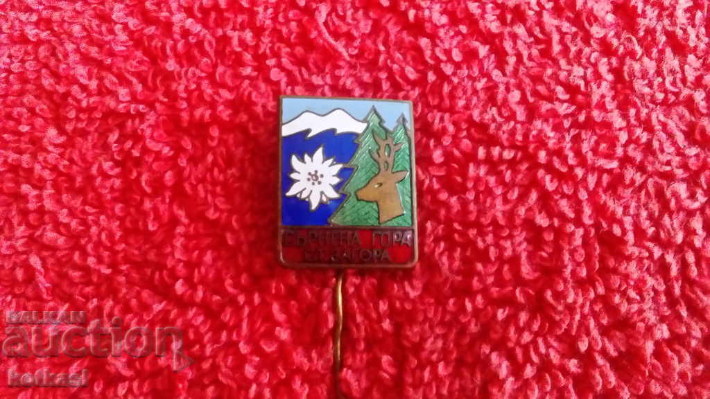 Delivery of Old social badge pin bronze enamel SERNENA GORA STARA ZAGORA Delivery of Old social badge pin bronze enamel SERNENA GORA STARA ZAGORA