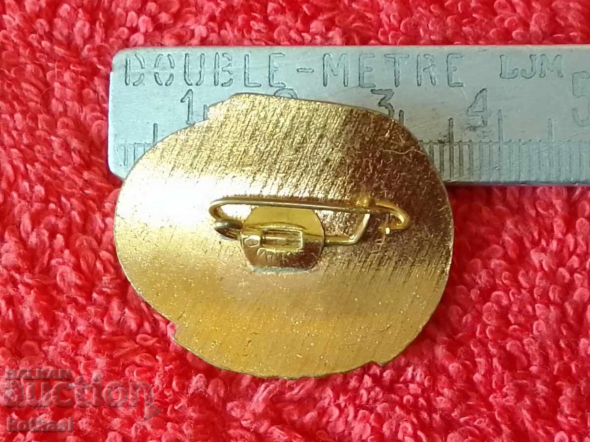 Solid Bronze Badge Badge Enamel Dracula with price 35.50 BGN | € 18.15