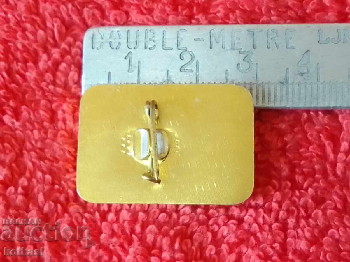 Old social sports football badge 60 years Ether 1924 excellent with price 35.50 BGN | € 18.15 Old social sports football badge 60 years Ether 1924 excellent with price 35.50 BGN | € 18.15