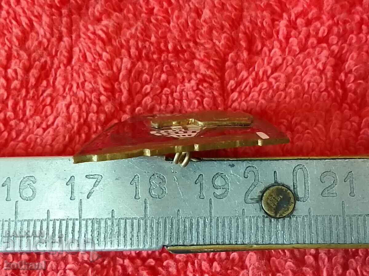 Delivery of Old social badge bronze enamel FOR STRIKE LABOR Delivery of Old social badge bronze enamel FOR STRIKE LABOR