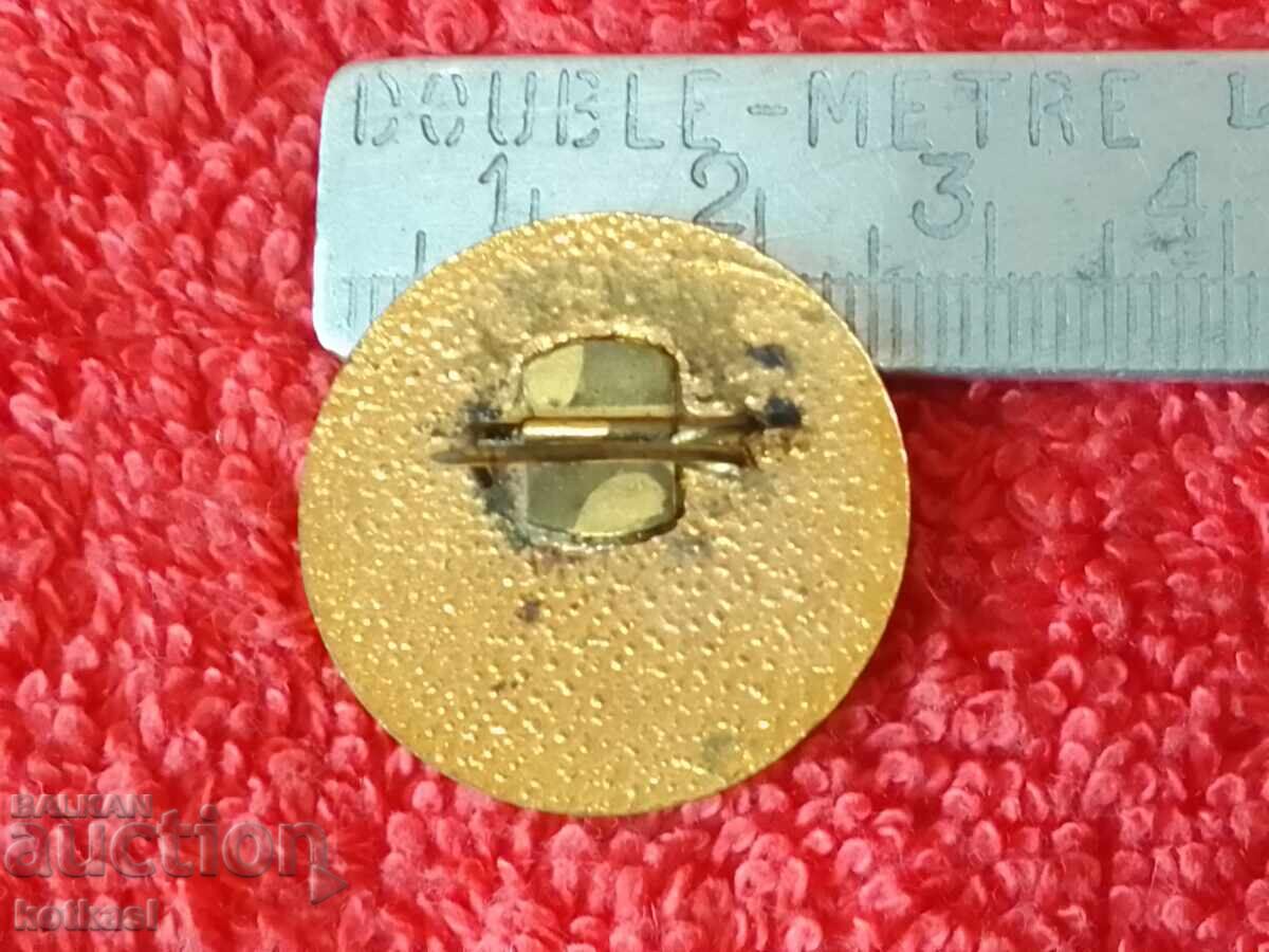 Old social badge bronze enamel 100 years school KOYNARE with price 35.50 BGN | € 18.15