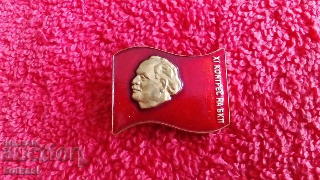 Delivery of Old social badge Bronze enamel sign XI CONGRESS OF THE BKP Delivery of Old social badge Bronze enamel sign XI CONGRESS OF THE BKP