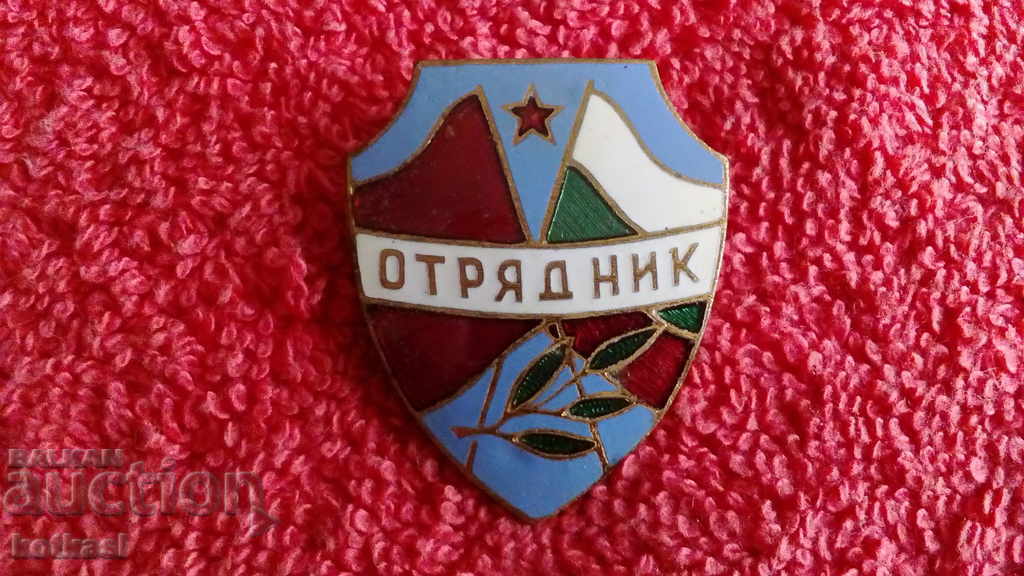 Delivery of Old Soviet badge bronze enamel DETACHMENT MEMBER Delivery of Old Soviet badge bronze enamel DETACHMENT MEMBER