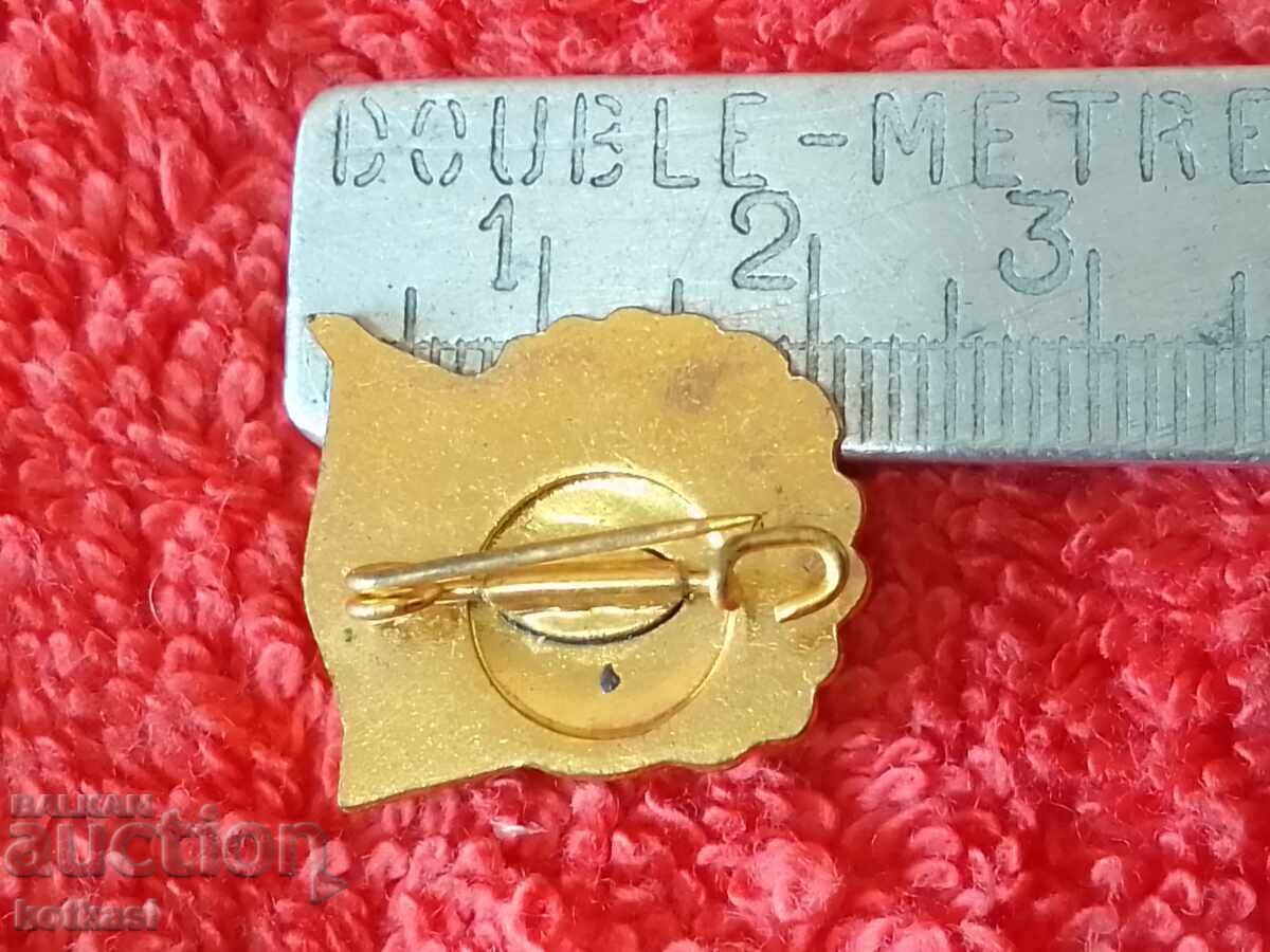 Old social badge bronze enamel GDR GERMANY with price 10.50 BGN | € 5.37 Old social badge bronze enamel GDR GERMANY with price 10.50 BGN | € 5.37