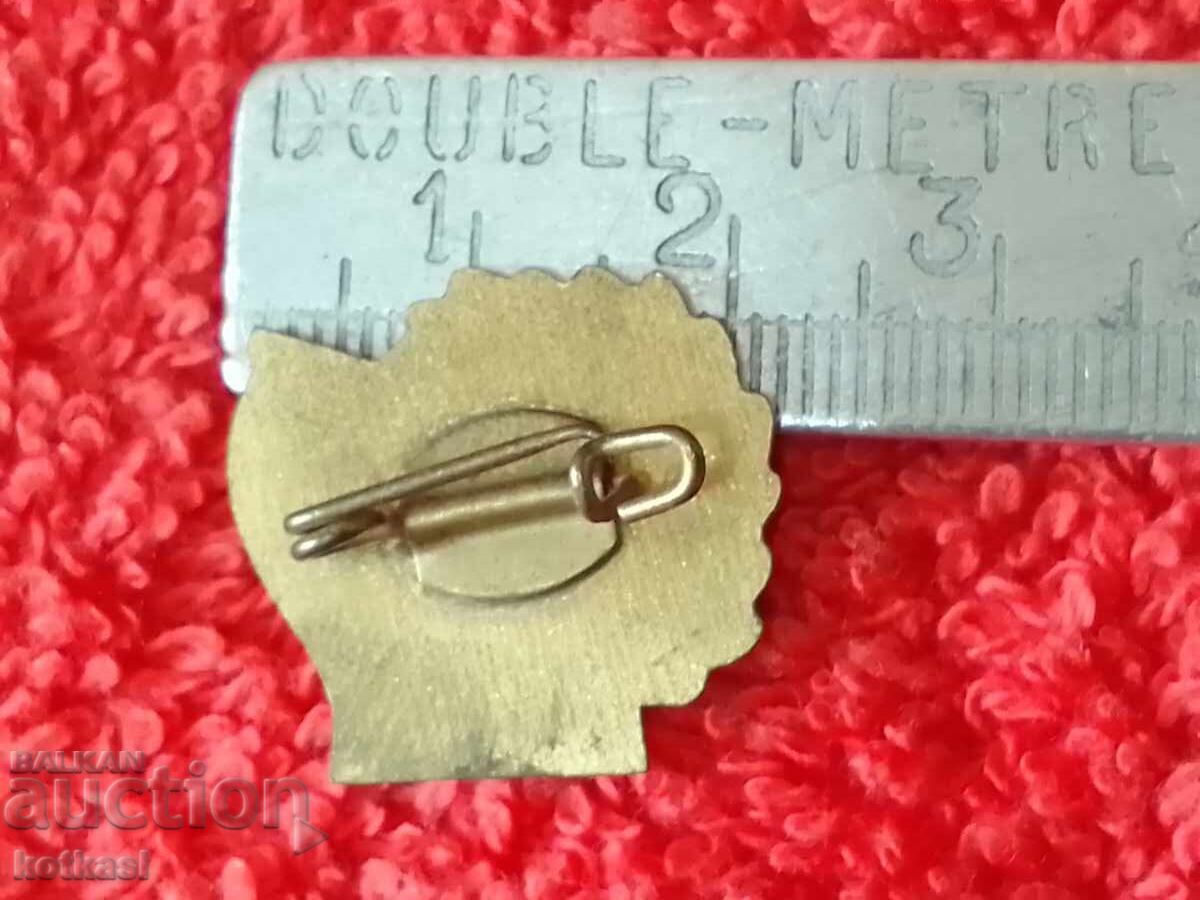 Old social badge GDR GERMANY with price 5.50 BGN | € 2.81