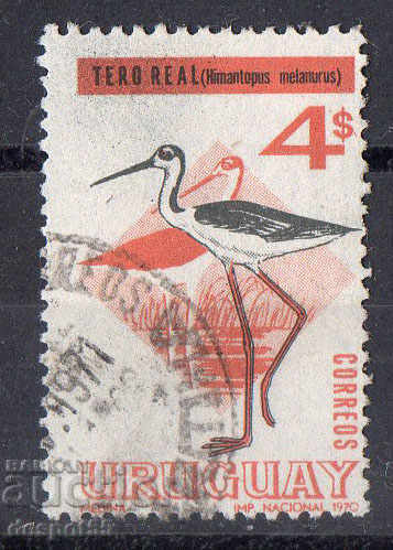 1970. Uruguay. Birds.