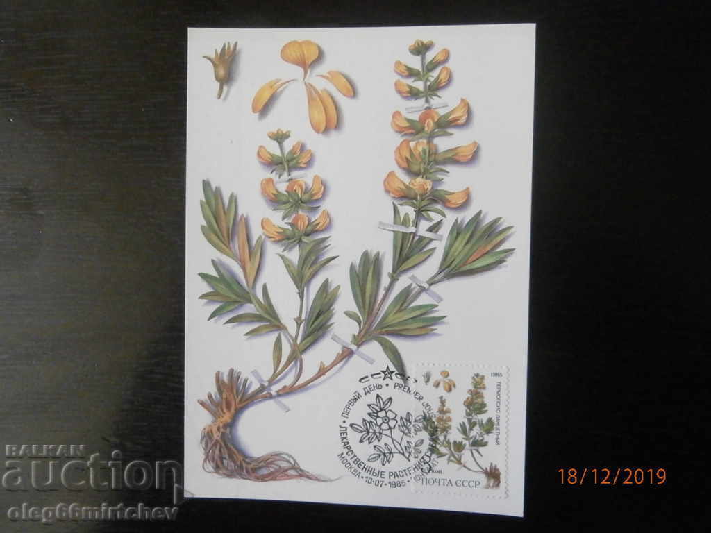 USSR KM Flowers 1983 with price 2.50 BGN | € 1.28 USSR KM Flowers 1983 with price 2.50 BGN | € 1.28