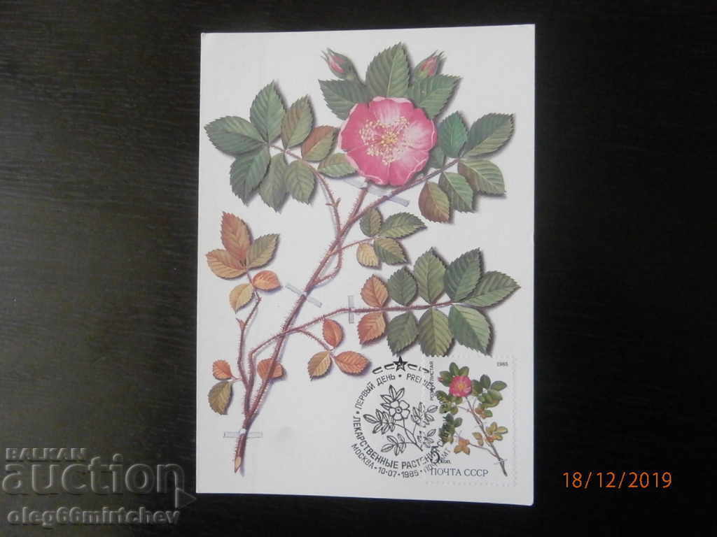 Auction USSR KM Flowers 1983 Auction USSR KM Flowers 1983