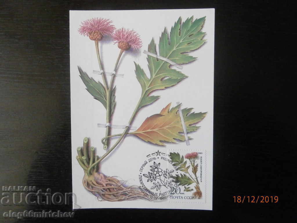 Delivery of USSR KM Flowers 1983 Delivery of USSR KM Flowers 1983