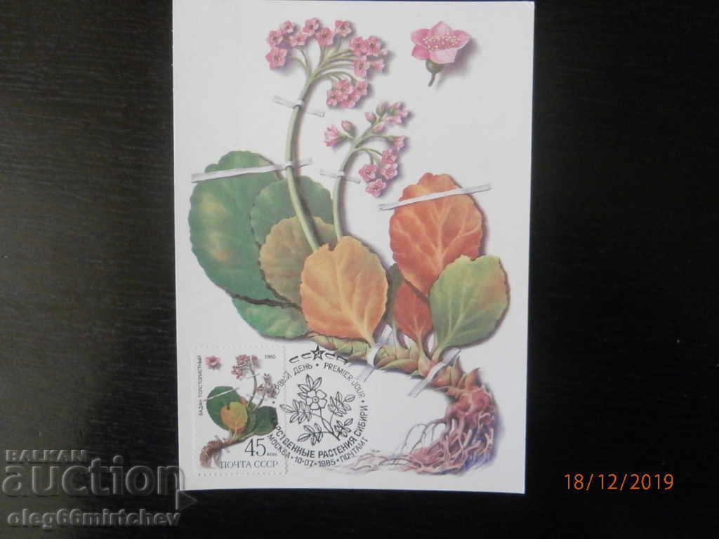 USSR KM Flowers 1983 - 5 USSR KM Flowers 1983 - 5