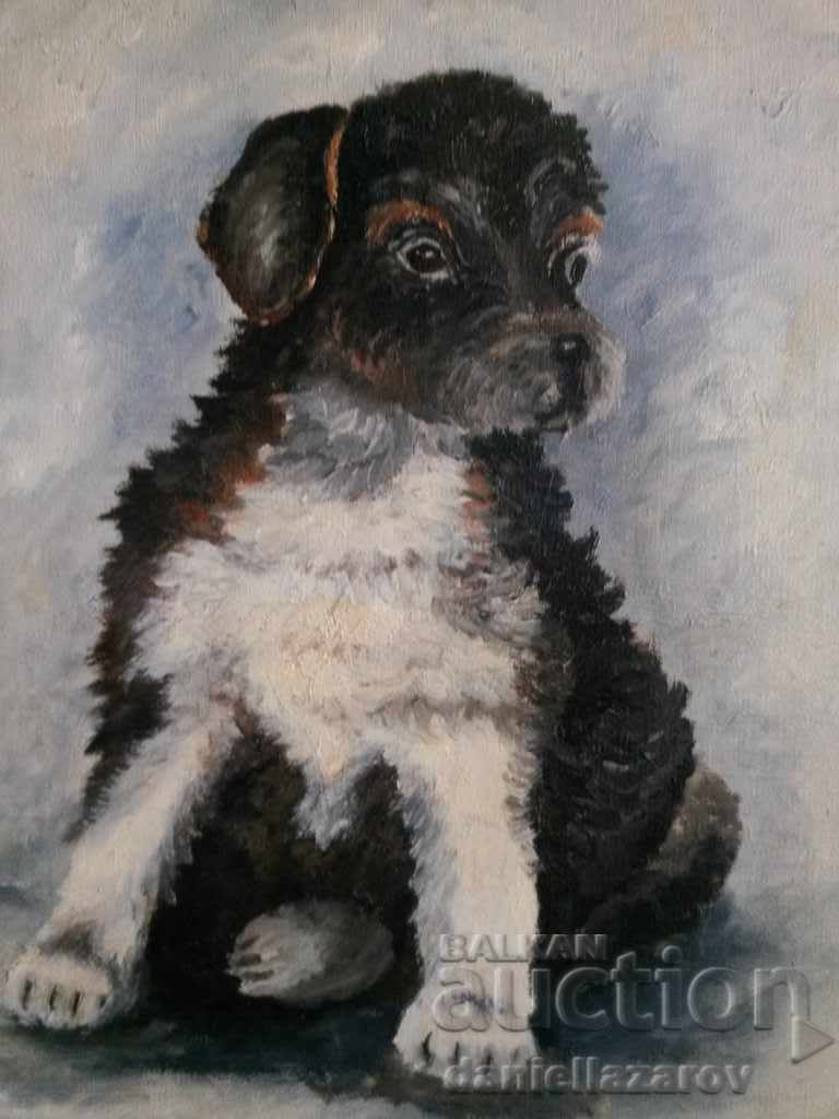 Old Swedish Author's Picture "Puppy" by G.Sköld 1967 with price 120.00 BGN | € 61.36