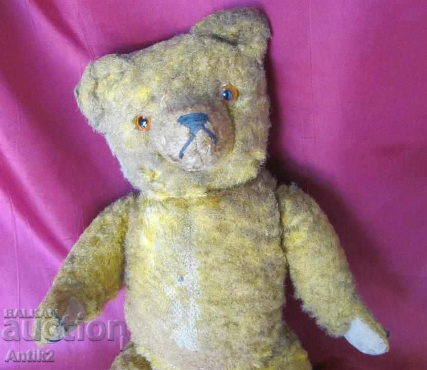 20 Teddy bear - Teddy Bear Germany with price 144.00 BGN | € 73.63 20 Teddy bear - Teddy Bear Germany with price 144.00 BGN | € 73.63