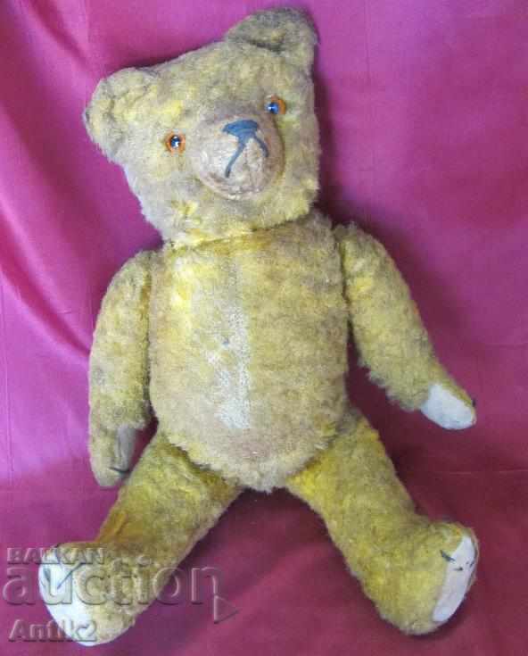 Delivery of 20 Teddy bear - Teddy Bear Germany Delivery of 20 Teddy bear - Teddy Bear Germany