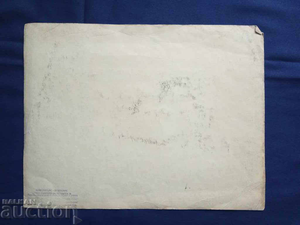 Auction Polish cradle / Kurt Peters Sofia-Pavlovo Auction Polish cradle / Kurt Peters Sofia-Pavlovo