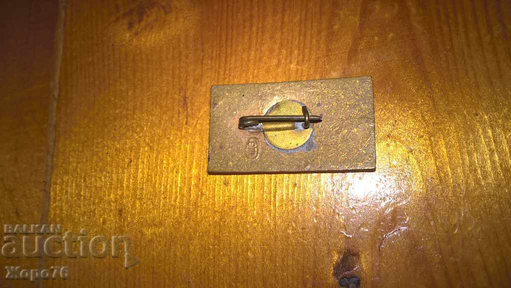 Delivery of ENAMELED USSR BADGE Russian souvenir BRONZE Rare!
