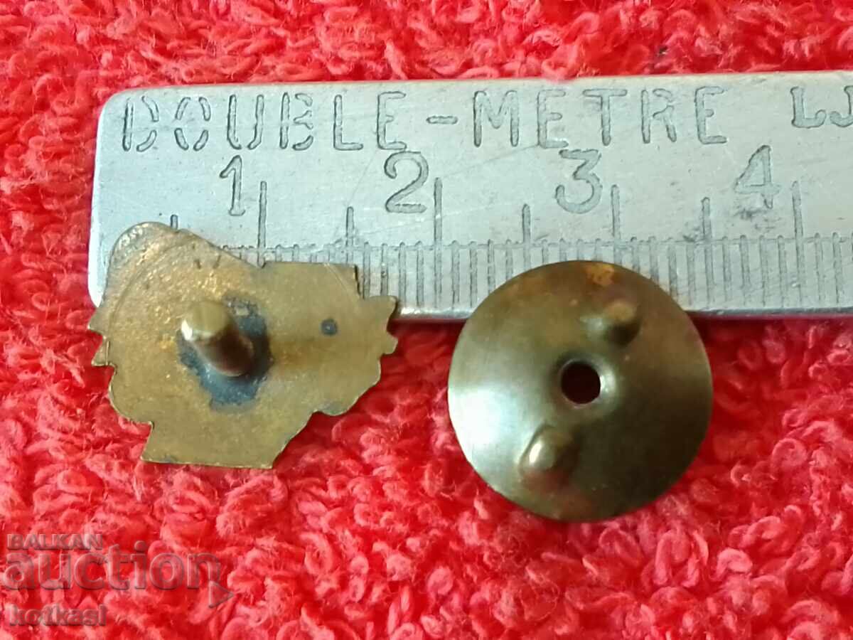 Old social badge of distinction at school, enamel, book, excellent with price 35.00 BGN | € 17.90 Old social badge of distinction at school, enamel, book, excellent with price 35.00 BGN | € 17.90