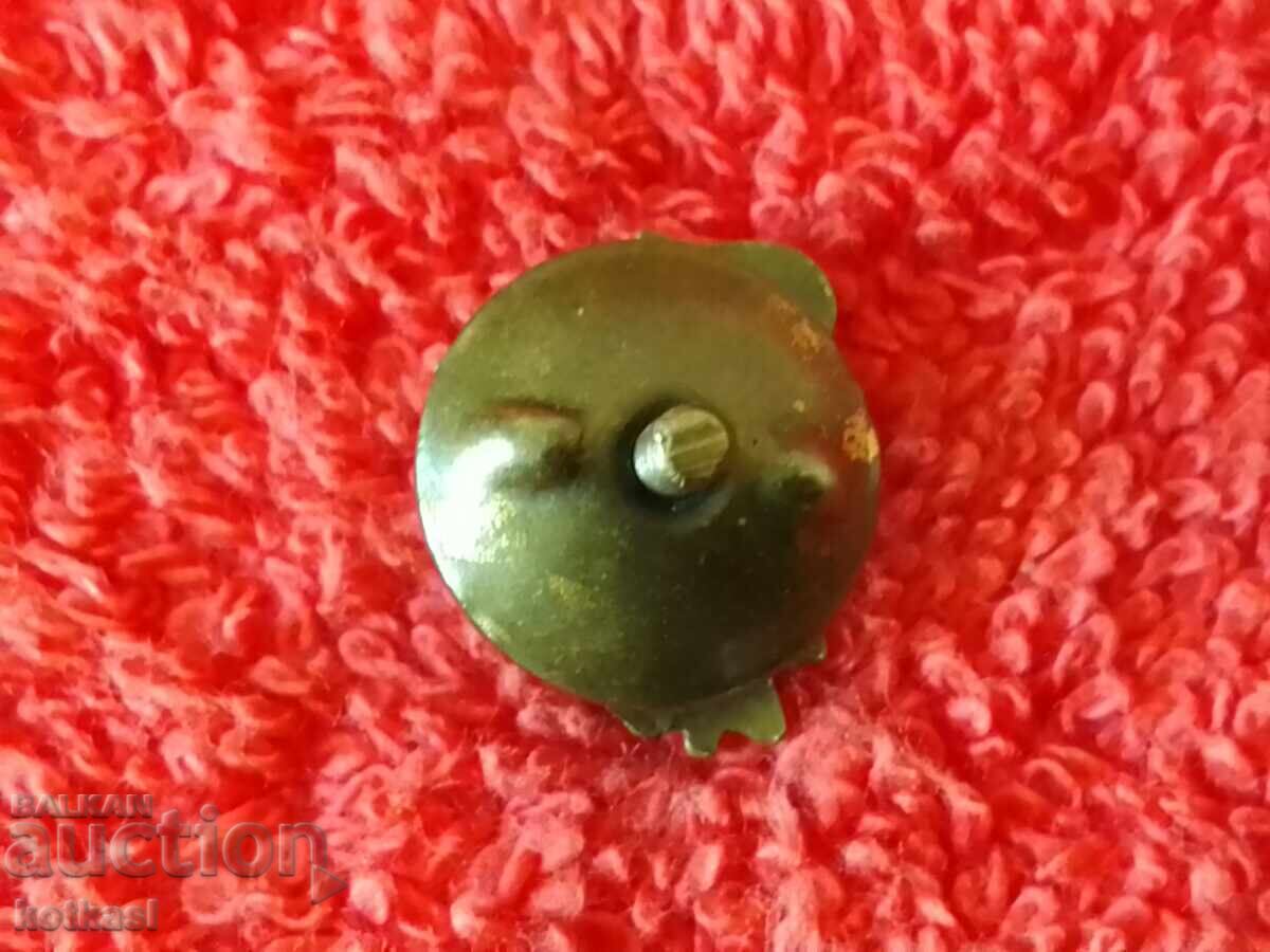 Auction Old social badge of distinction at school, enamel, book, excellent Auction Old social badge of distinction at school, enamel, book, excellent