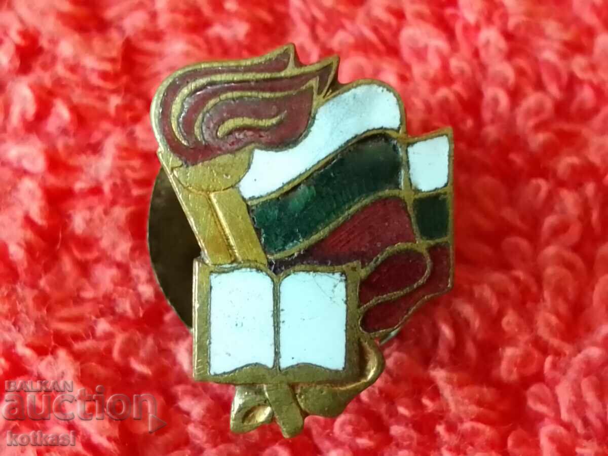 Delivery of Old social badge of distinction at school, enamel, book, excellent Delivery of Old social badge of distinction at school, enamel, book, excellent