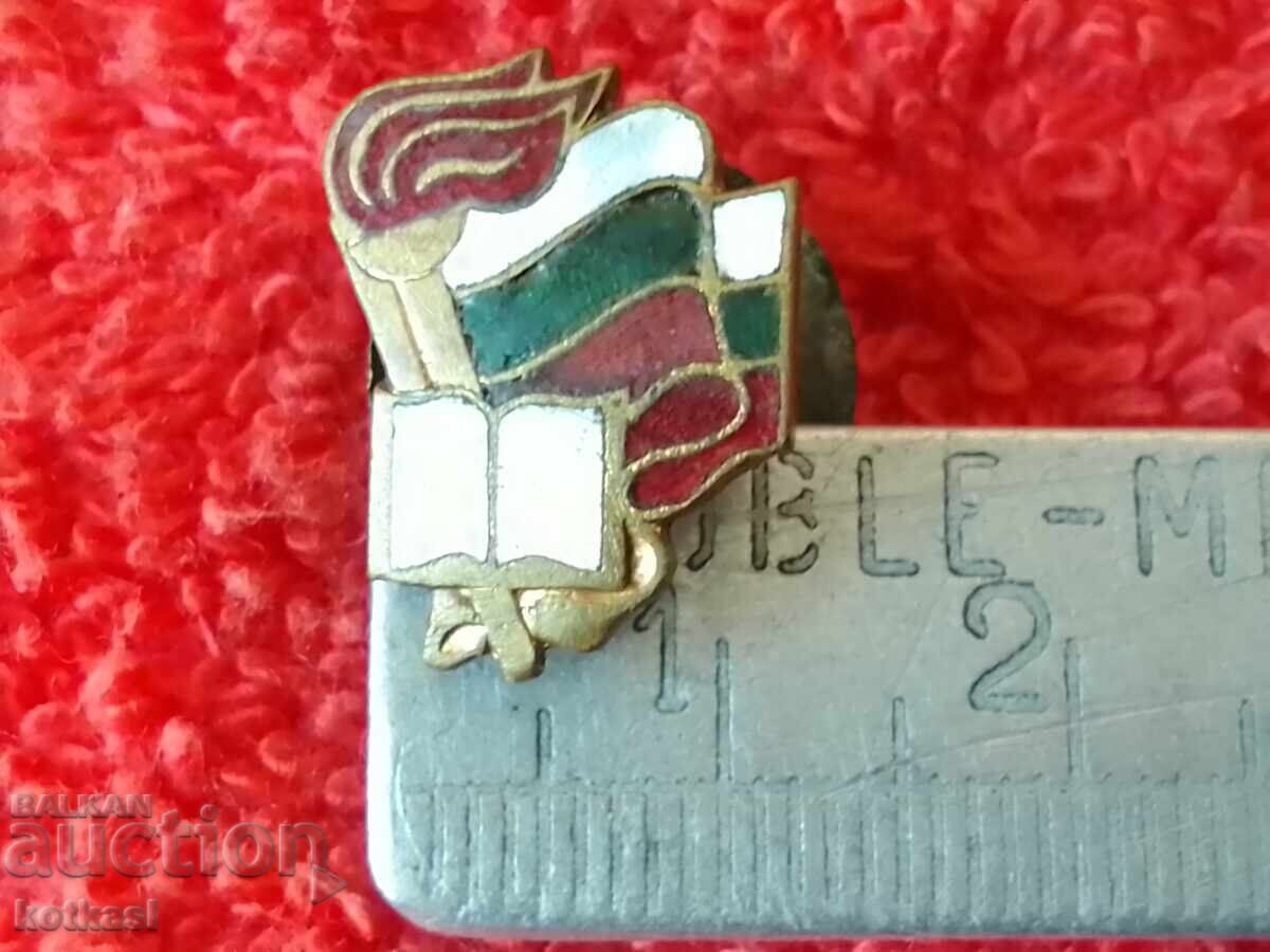 Old social badge of distinction at school, enamel, book, excellent Old social badge of distinction at school, enamel, book, excellent