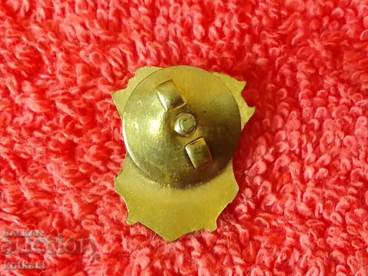 Licitație Veche insignă socială Badge șurub email Excelent DZI excelent Licitație Veche insignă socială Badge șurub email Excelent DZI excelent