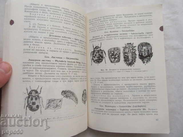 ENTOMOLOGY EXERCISES GUIDE - 1975 - 6