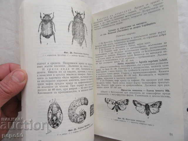ENTOMOLOGY EXERCISES GUIDE - 1975 - 7