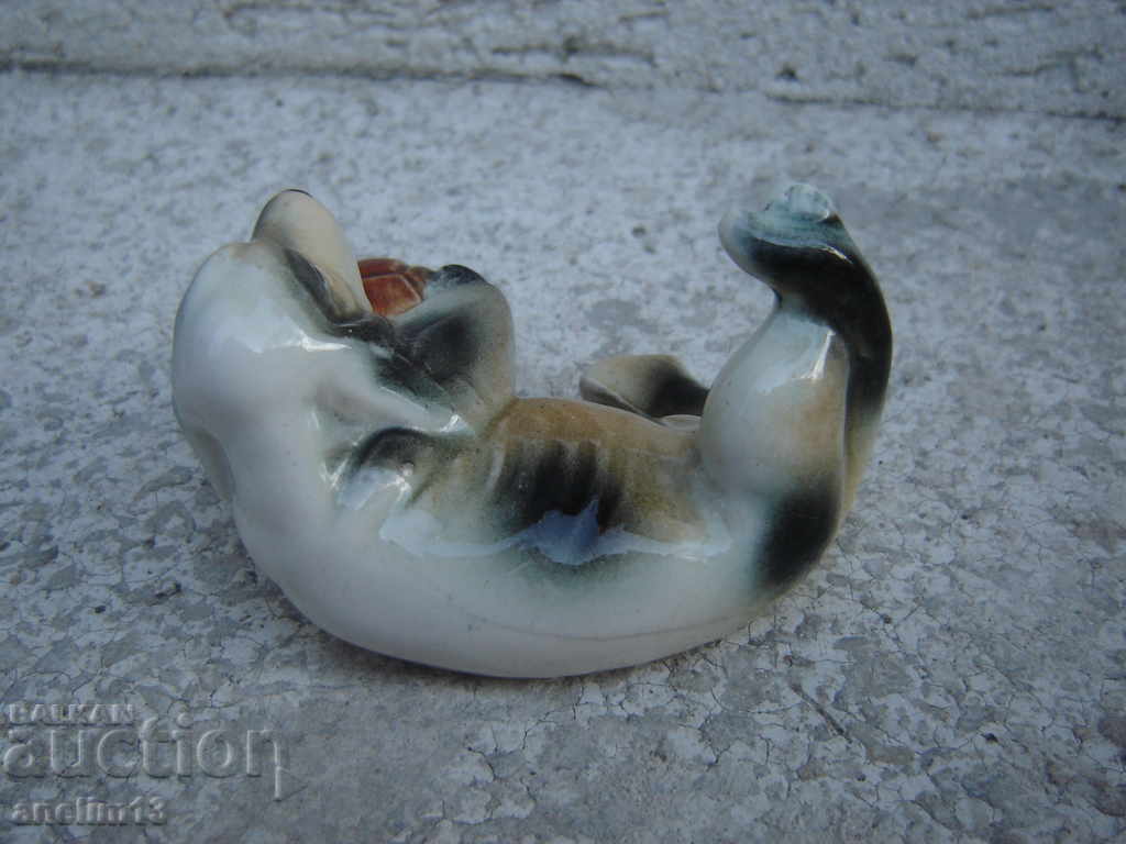 Livrarea CAINE VECHI DE PORCELAN