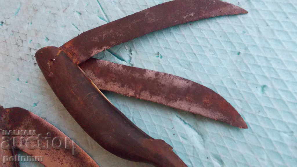 Kosher - 2 pcs. with price 15.00 BGN | € 7.67 Kosher - 2 pcs. with price 15.00 BGN | € 7.67