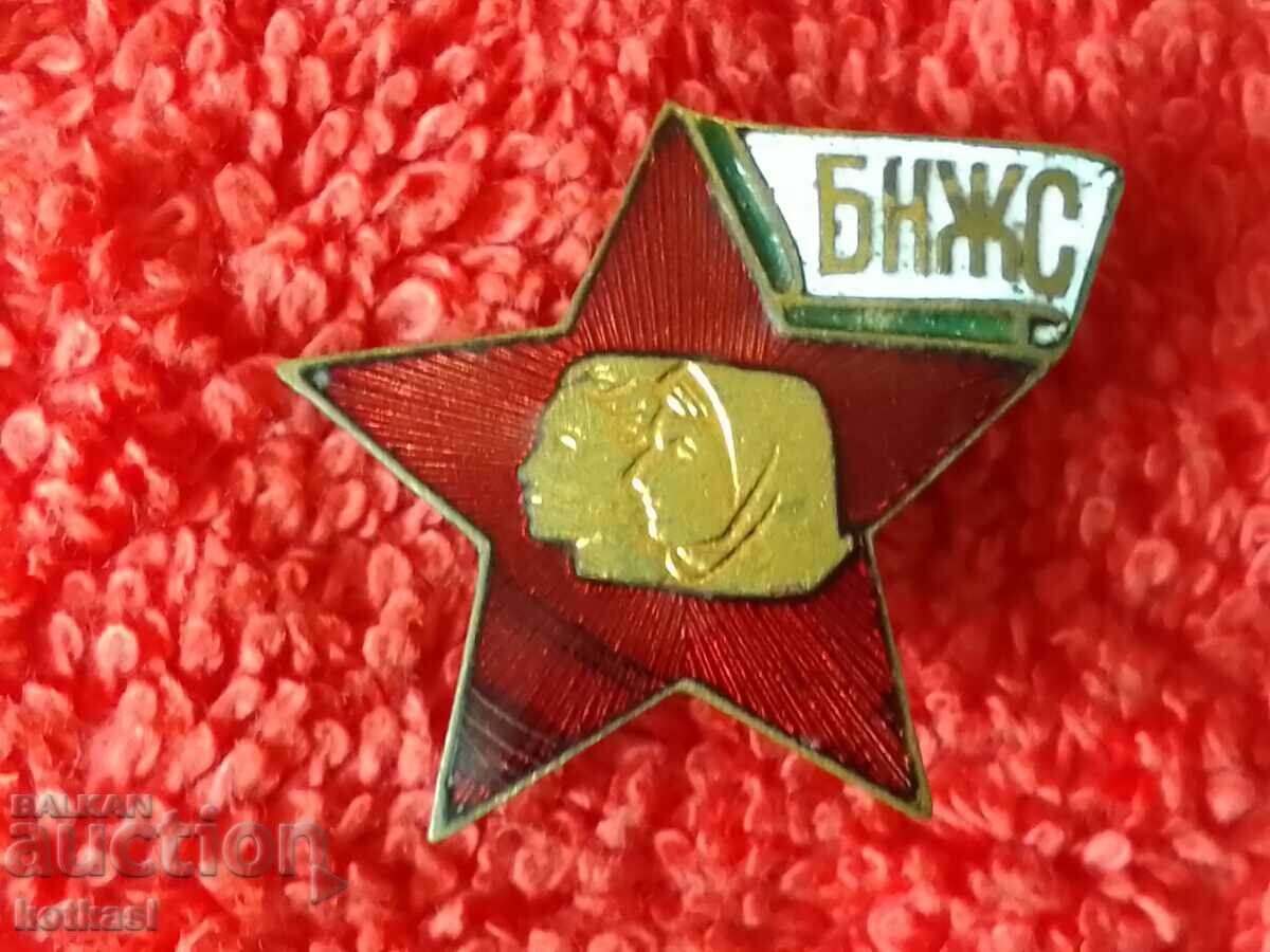 Auction old social sign badge enamel bronze BNZS Auction old social sign badge enamel bronze BNZS