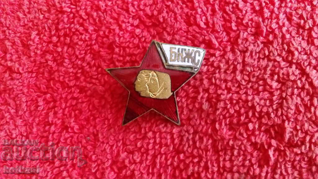 Delivery of old social sign badge enamel bronze BNZS Delivery of old social sign badge enamel bronze BNZS