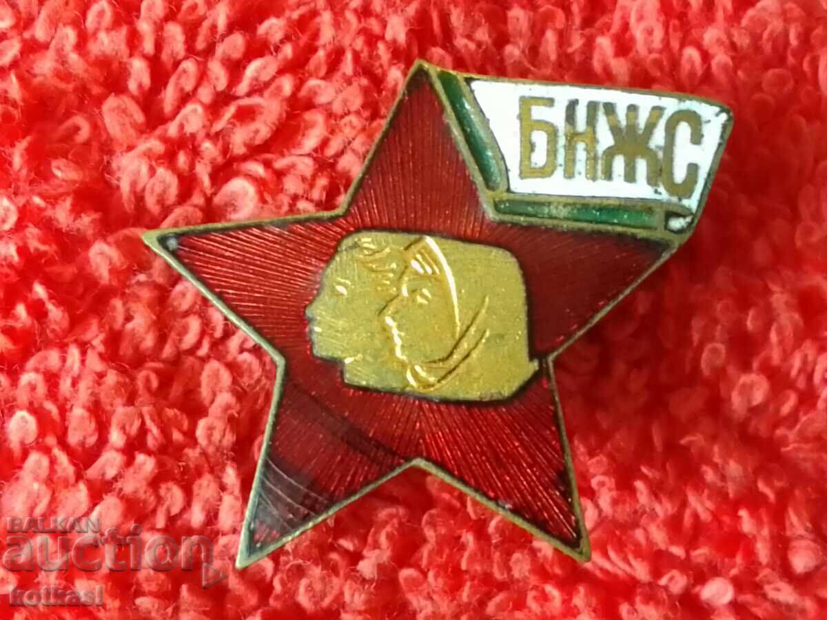 old social sign badge enamel bronze BNZS - 5 old social sign badge enamel bronze BNZS - 5
