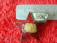 old social sign badge enamel bronze BNZS