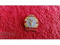 old soc sign mvsk icon badge national guard