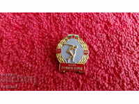 old social sign badge MVR VSK National Guard