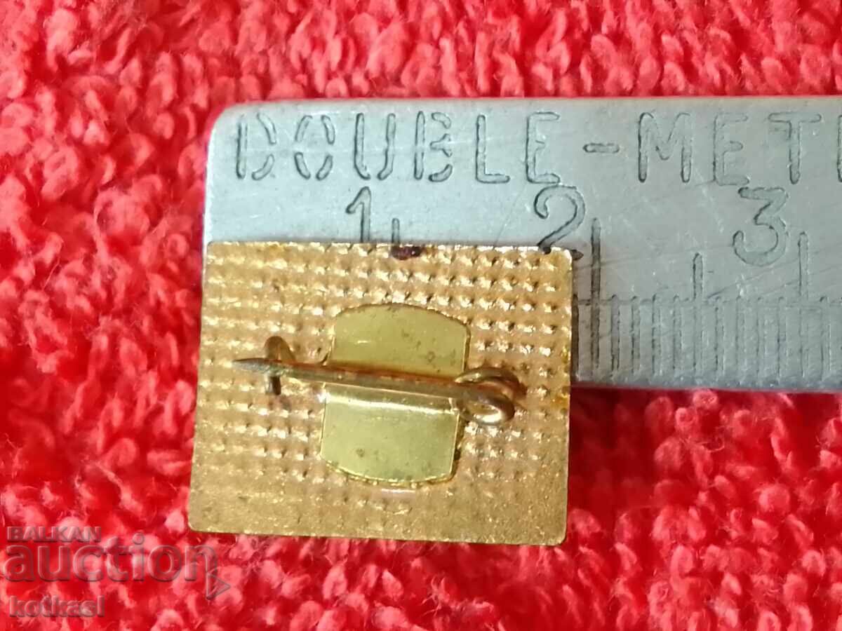 old social badge bronze SAMOKOVSKA MUNICIPALITY white enamel excellent with price 12.50 BGN | € 6.39 old social badge bronze SAMOKOVSKA MUNICIPALITY white enamel excellent with price 12.50 BGN | € 6.39