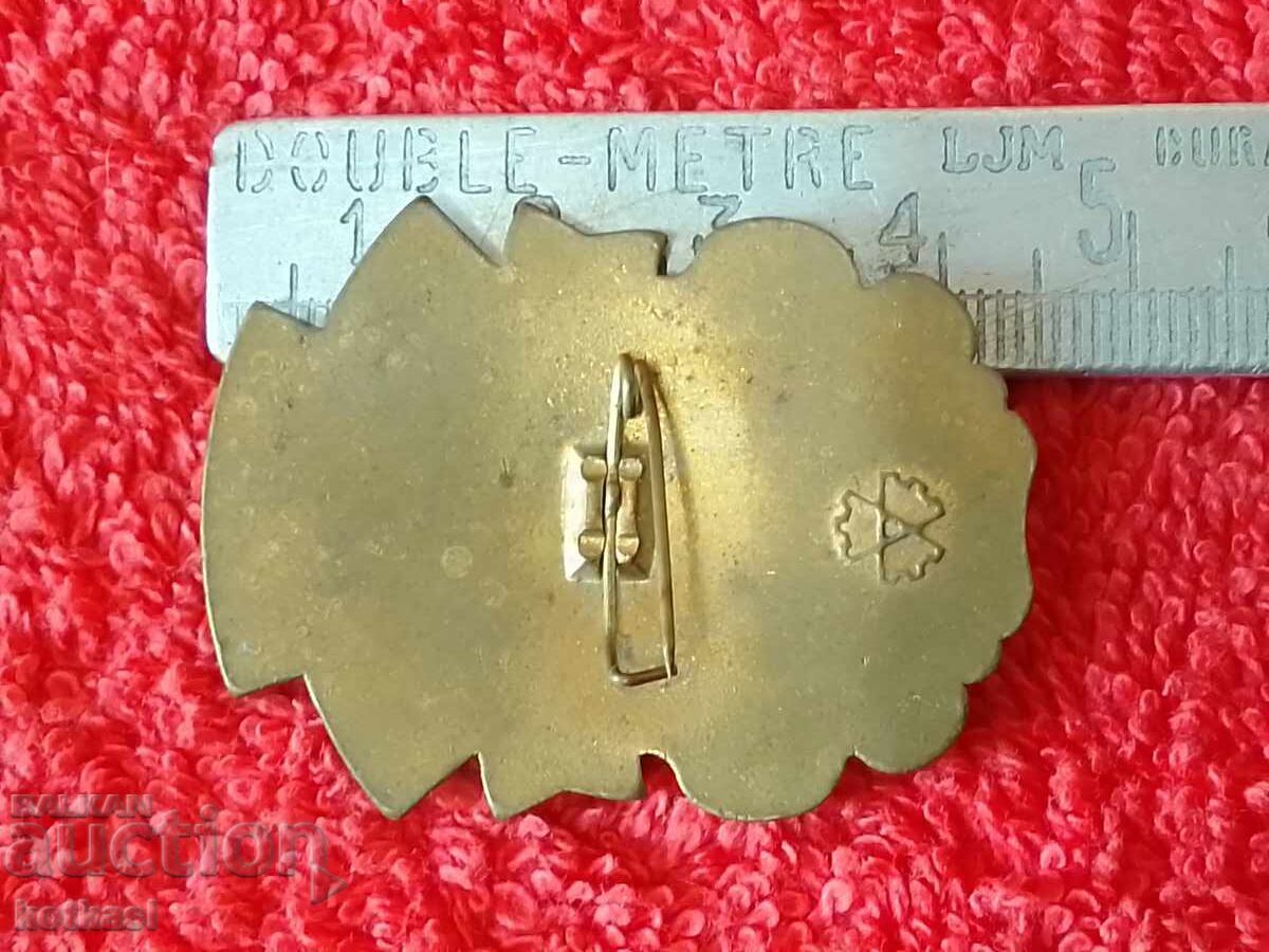 Massive bronze Sign Badge anniversary Ukraine liberation with price 25.50 BGN | € 13.04 Massive bronze Sign Badge anniversary Ukraine liberation with price 25.50 BGN | € 13.04