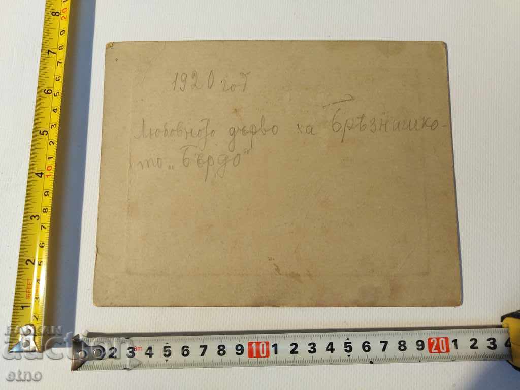 Auction 1920.TARIAN PHOTOGRAPHY CARDBOX-SABY, RIFLE, ORDER, SHIELD, UNIFORM Auction 1920.TARIAN PHOTOGRAPHY CARDBOX-SABY, RIFLE, ORDER, SHIELD, UNIFORM