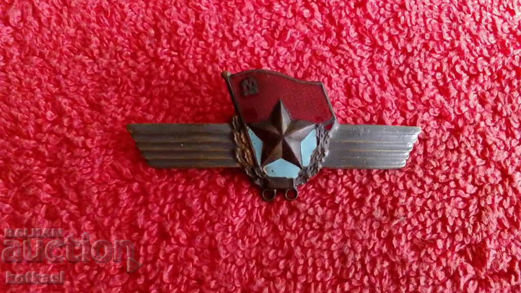 Delivery of Old Bronze Military Badge Enamel USSR Russia