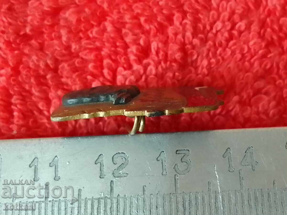 Аукцион Стара соц значка бронз емайл Христо Ботев ДКМС Аукцион Стара соц значка бронз емайл Христо Ботев ДКМС