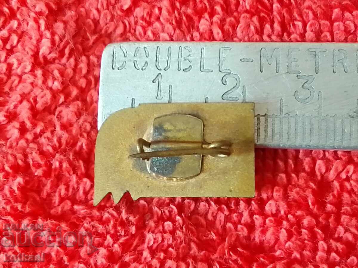 Old social badge bronze enamel CHAVDARCHE excellent with price 5.50 BGN | € 2.81 Old social badge bronze enamel CHAVDARCHE excellent with price 5.50 BGN | € 2.81