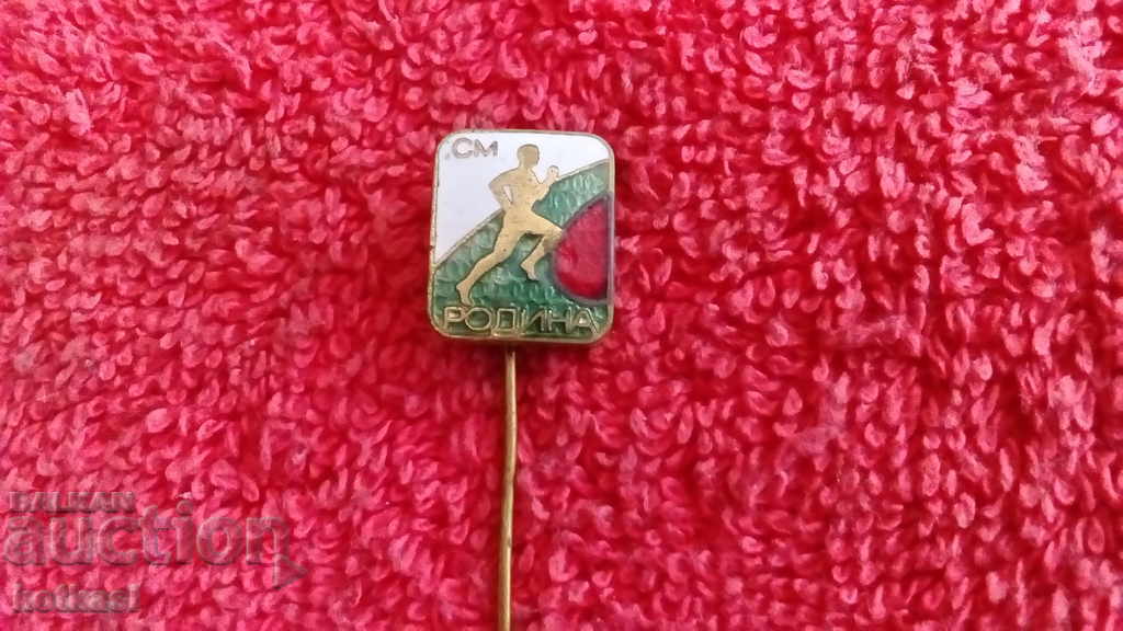 Auction Old social badge bronze enamel pin SM RODINA excellent Auction Old social badge bronze enamel pin SM RODINA excellent
