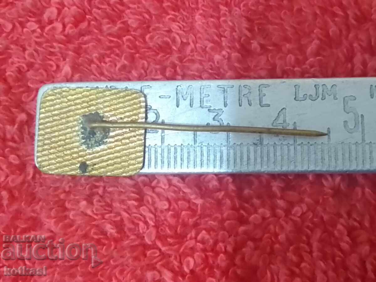 Delivery of Old social badge bronze enamel pin SM RODINA excellent Delivery of Old social badge bronze enamel pin SM RODINA excellent