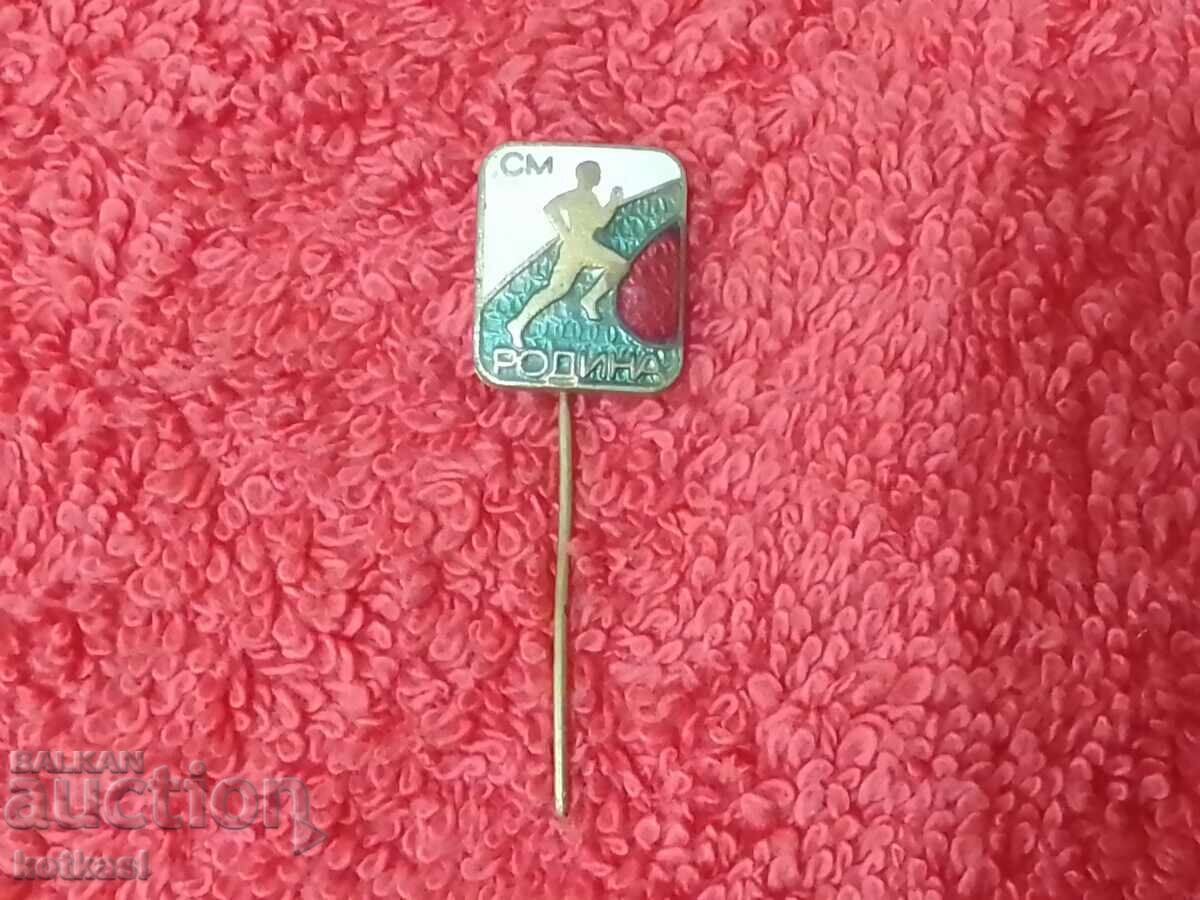 Old social badge bronze enamel pin SM RODINA excellent - 5 Old social badge bronze enamel pin SM RODINA excellent - 5