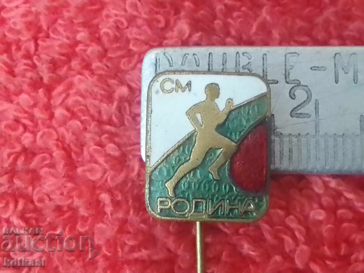 Old social badge bronze enamel pin SM RODINA excellent Old social badge bronze enamel pin SM RODINA excellent