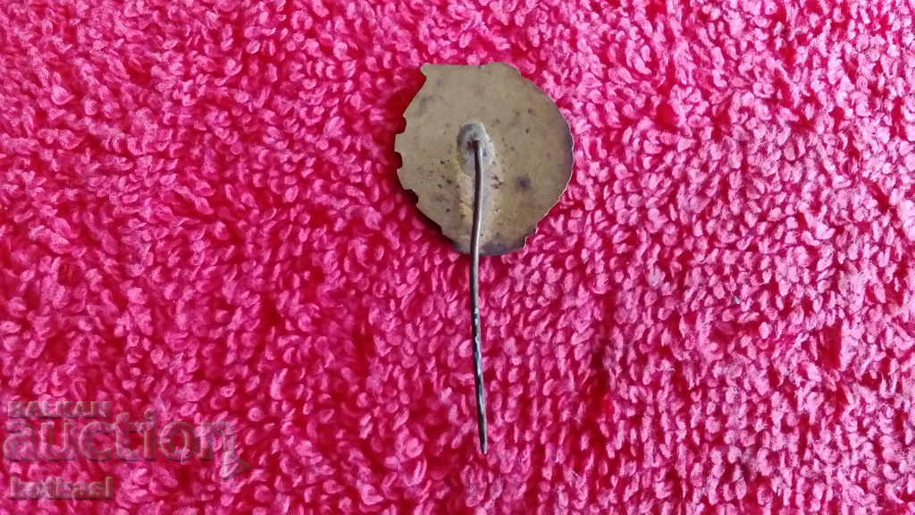 Delivery of Old Soviet badge bronze needle enamel READY FOR PVC-HO GOOD CONDITION Delivery of Old Soviet badge bronze needle enamel READY FOR PVC-HO GOOD CONDITION